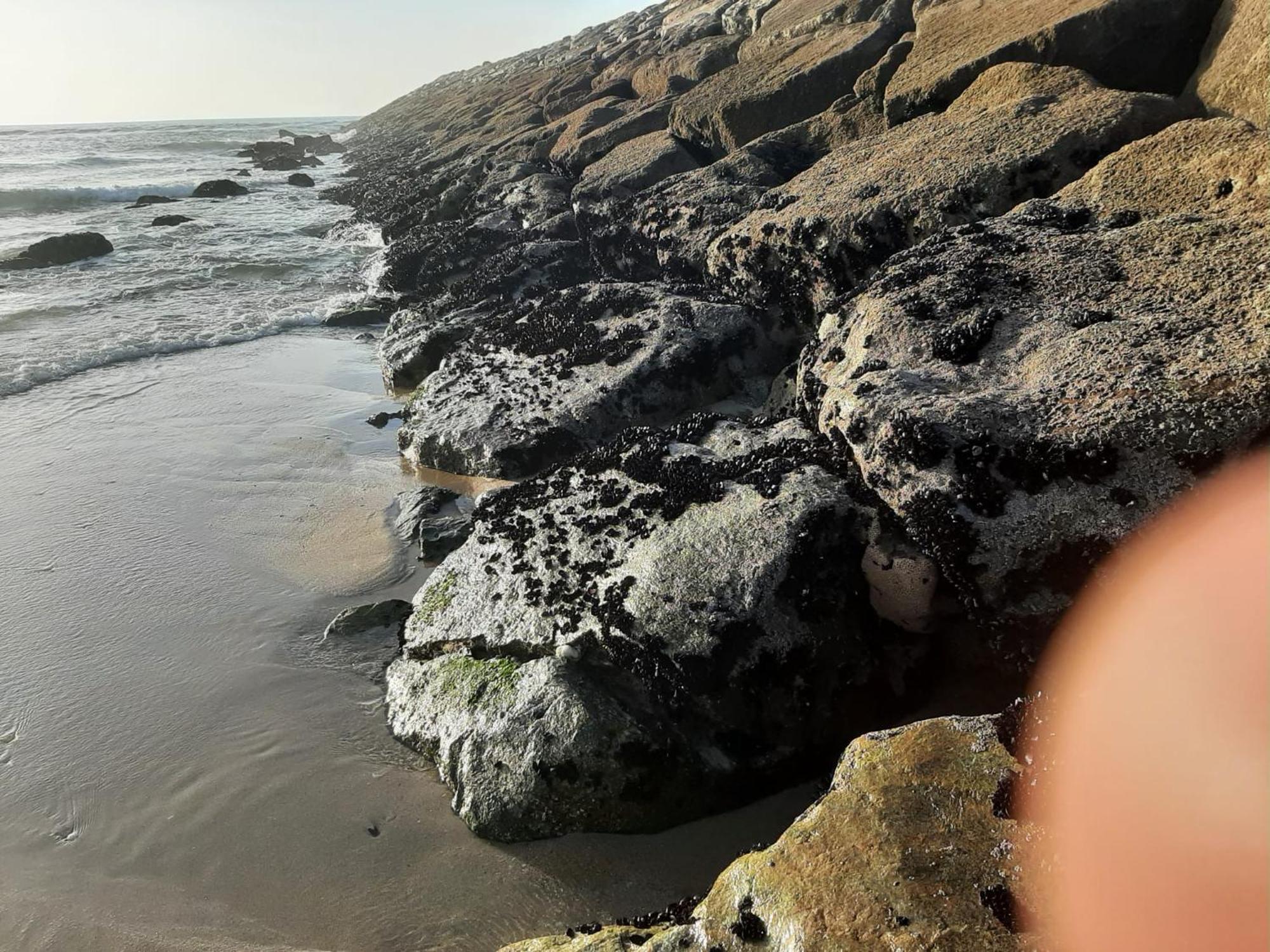 דירות איזמוריס Sol E Mar מראה חיצוני תמונה